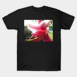 Stargazer Lily Photo Print T-Shirt